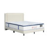 Cara Bed Frame with Mattress Set Promotion