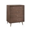 Feliciano 5 Drawer Chest