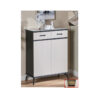 Emmett 2 Door Shoe Storage Cabinet