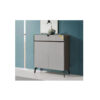 Natalio 2 Door Shoe Cabinet