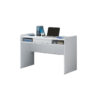 Toro Office Desk